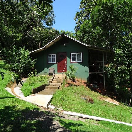 Los Pinos De Torio Exterior foto