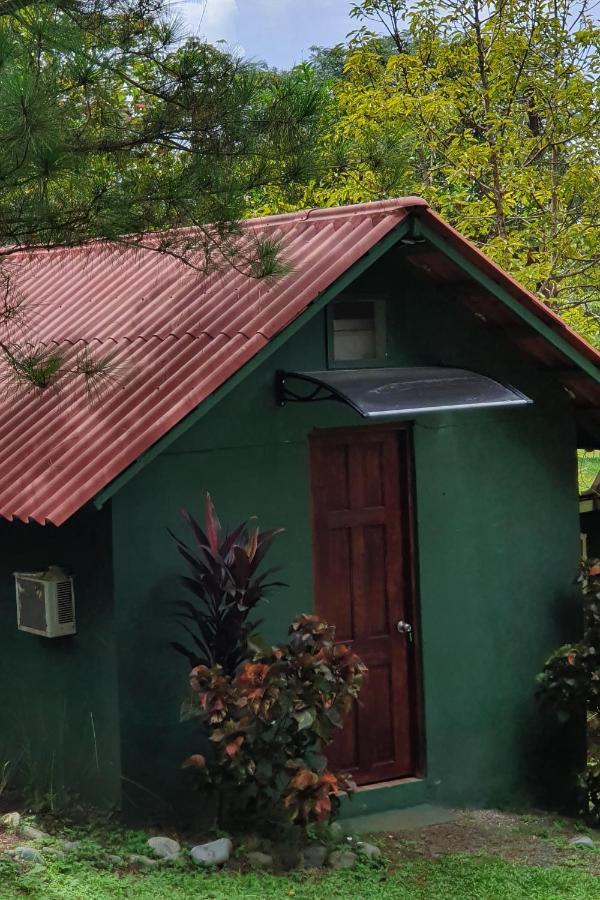 Los Pinos De Torio Exterior foto