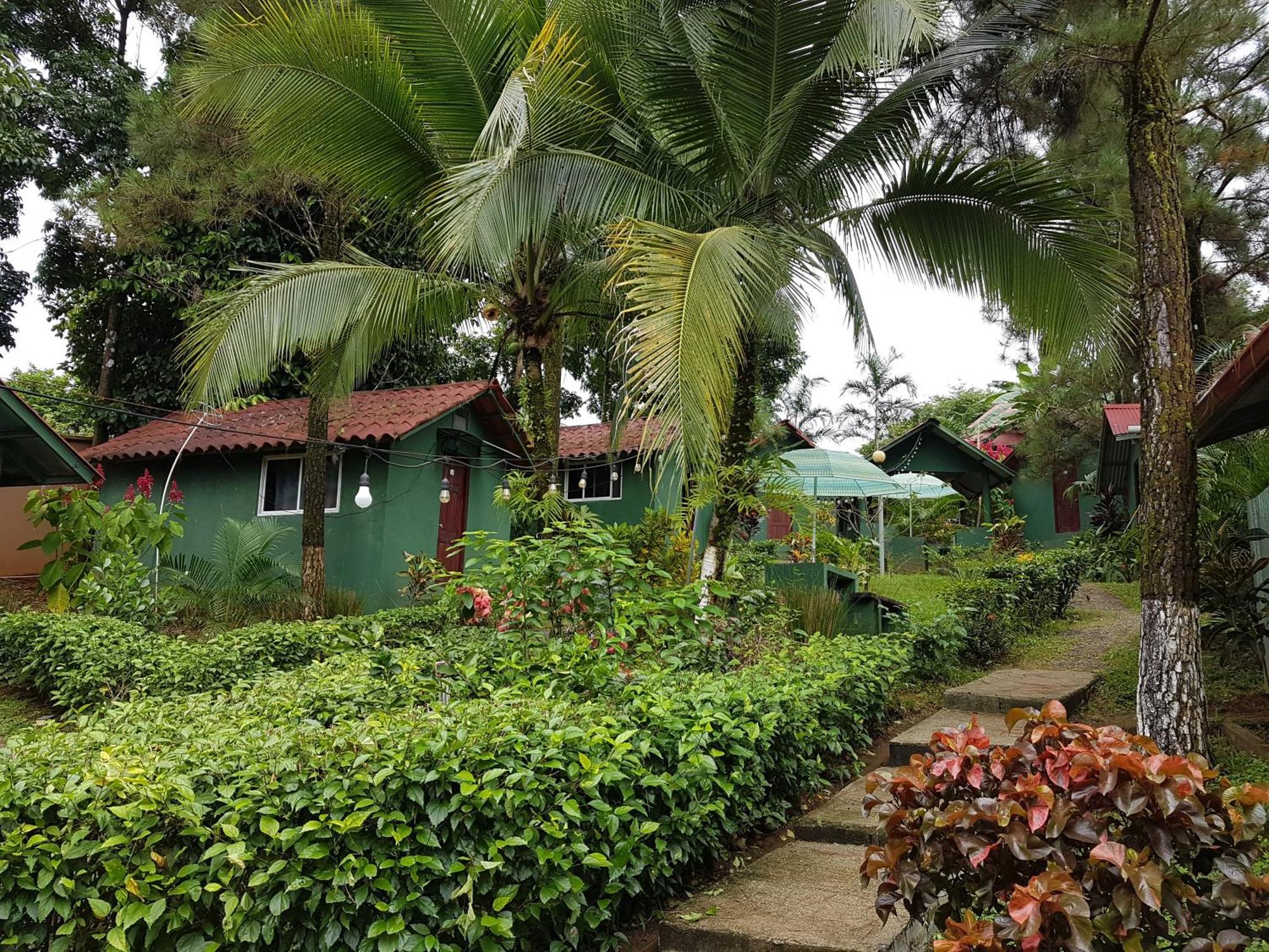 Los Pinos De Torio Exterior foto